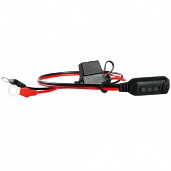 Caricabatterie Ctek Cavo Connessione Rapida Indicatore Led Caricabatterie Ctek Cavo Connessione Rapida Indicatore Led
