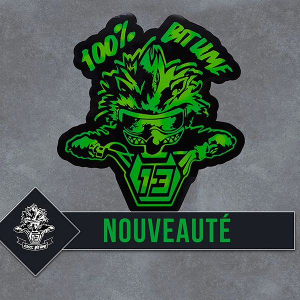 Accessori moto 100% Bitume 2 Stickers Niglo 9 x 8.5 cm Green