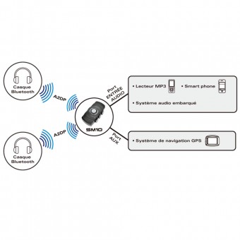 Sena Modulo SM10 di Connessione Goldwing