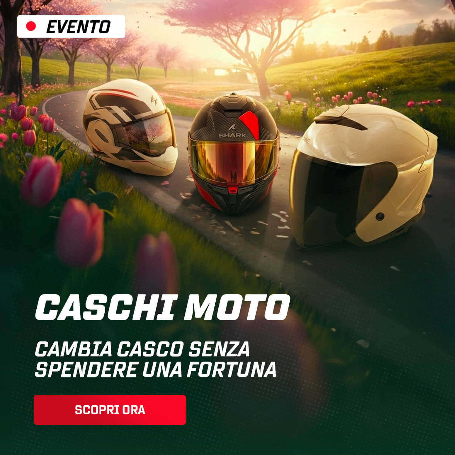 Caschi moto
