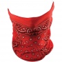 Scaldacollo Moto Zanheadgear Red Paisley