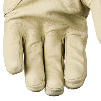 Five Mustang Evo Beige