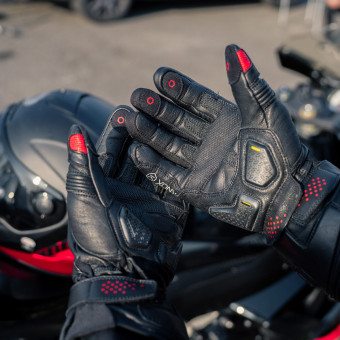 Knox Oulton Black Red