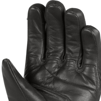 Segura Panther Black
