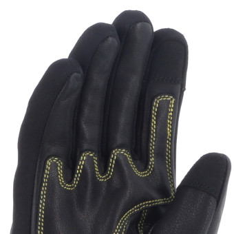 Von Dutch Palavas Air Nero Oro Leo