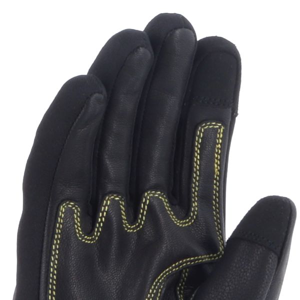 Von Dutch Palavas Air Nero Oro Leo