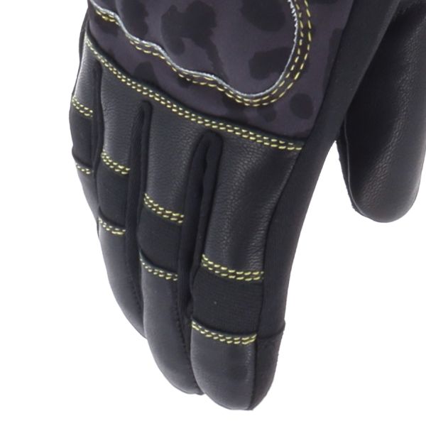 Von Dutch Palavas Air Nero Oro Leo