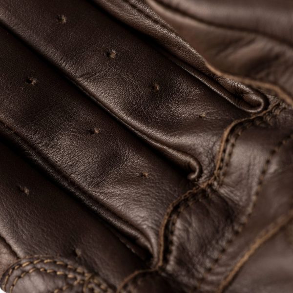 Blauer Banner Marrone Bianco