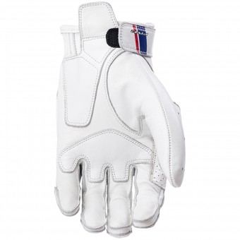 Five Texas White Blue
